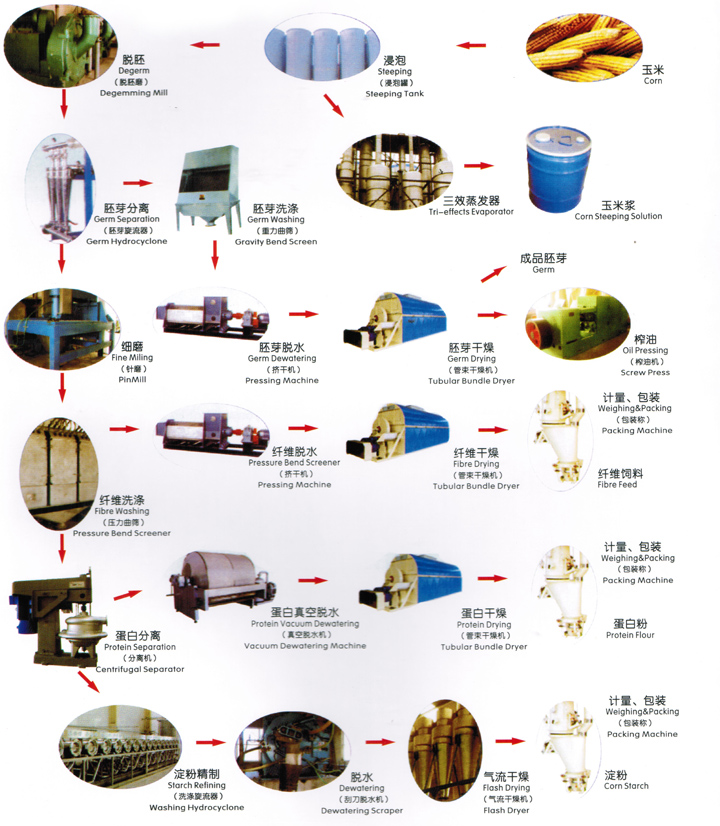 玉米深加工工藝